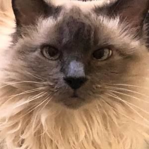 Meet your Posher, Christi